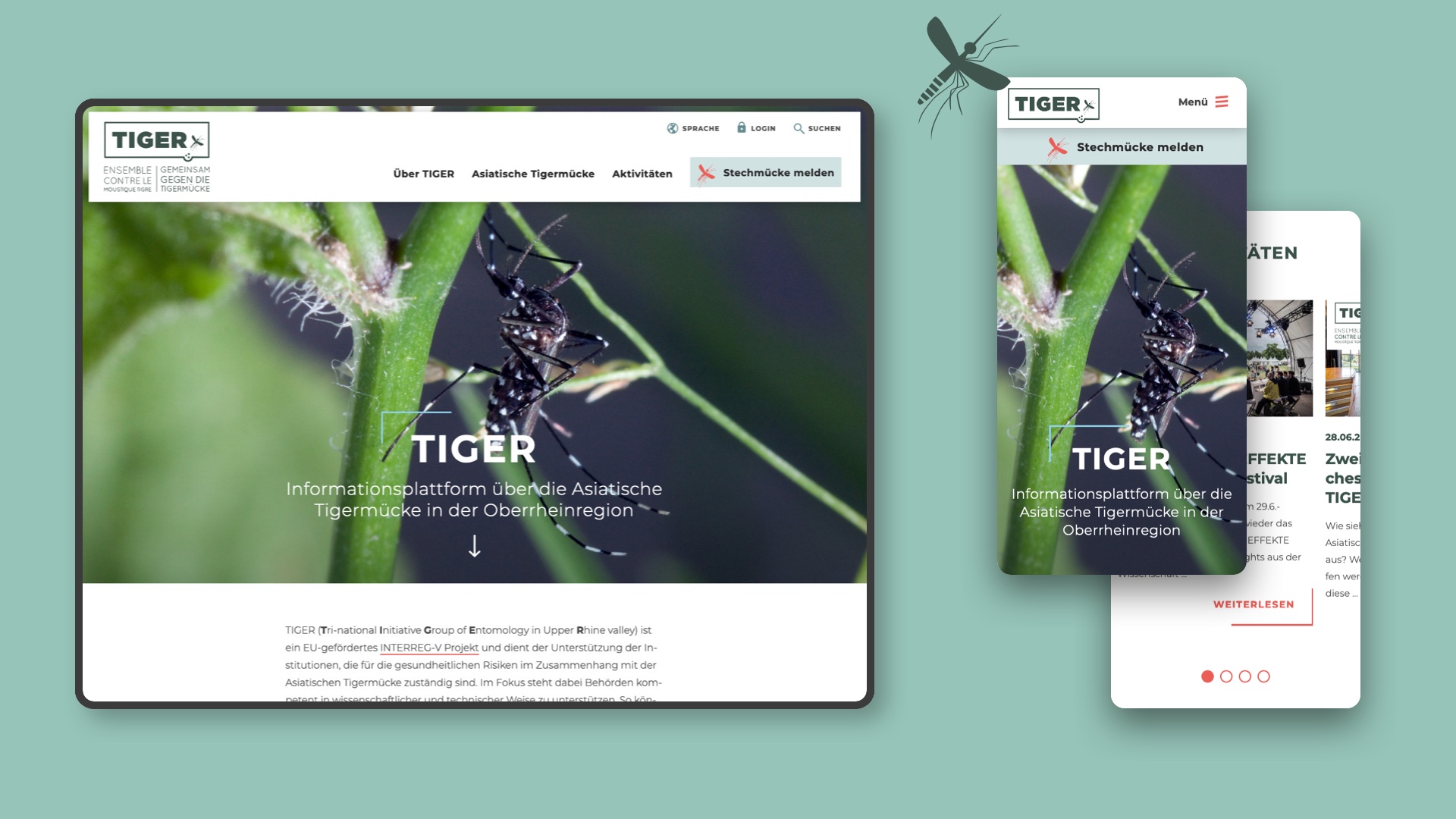 Webdesign für das Projekt TIGER